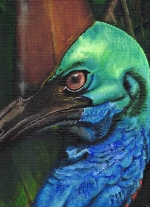 Cassowary